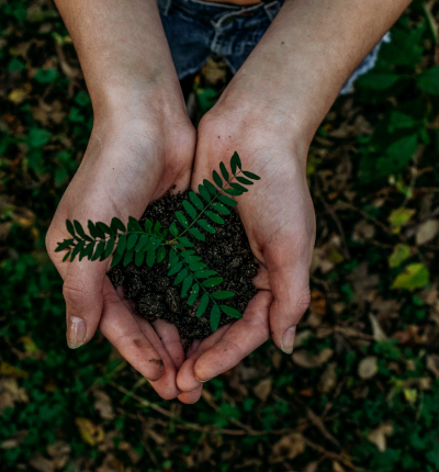 plantInHands.png